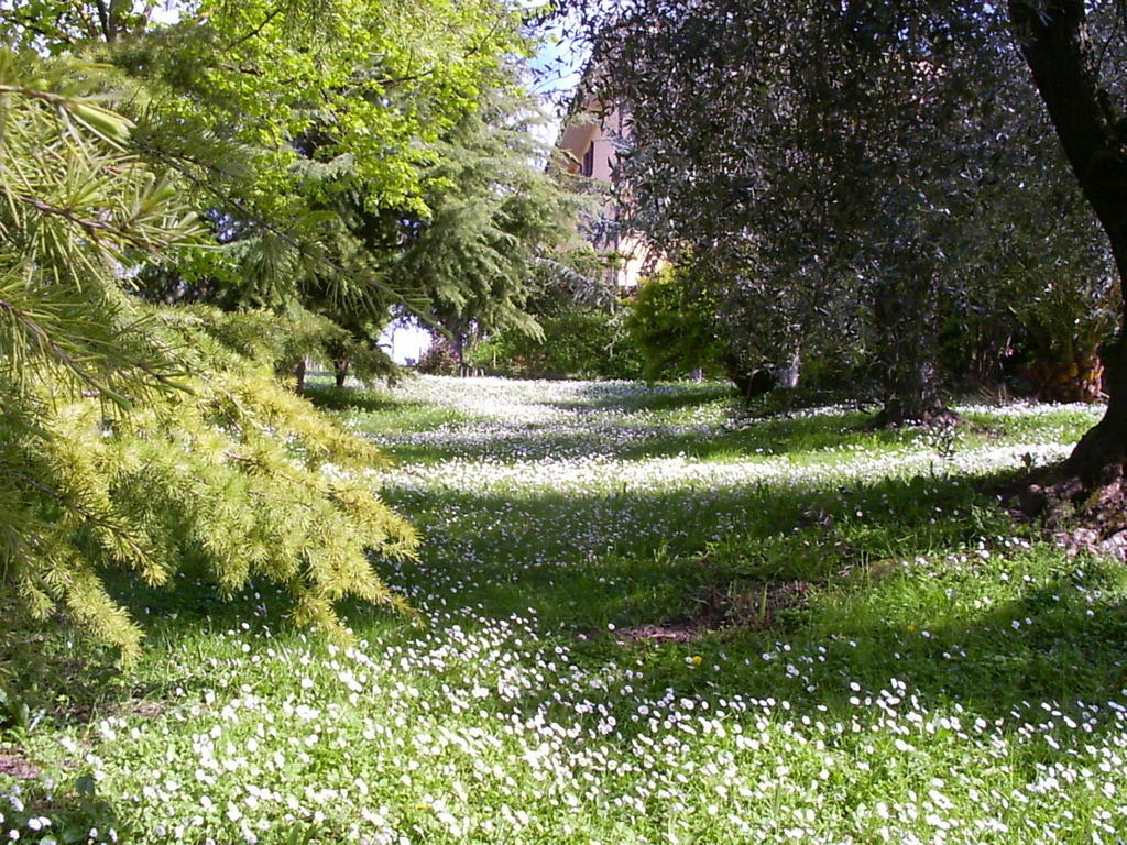 La Vecchia Quercia Bed & Breakfast Selci  Екстериор снимка